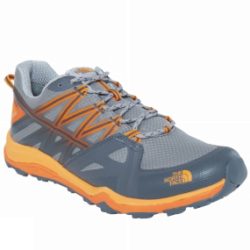 Mens Hedgehog Fastpack Lite II GTX Shoe